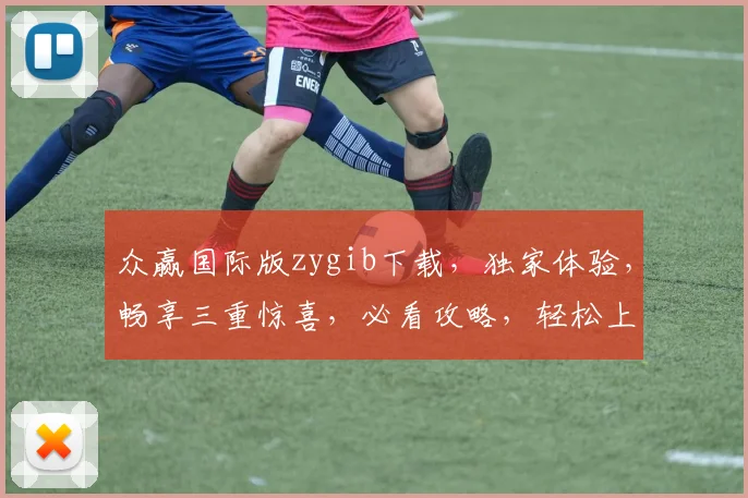 众赢国际版zygib下载，独家体验，畅享三重惊喜，必看攻略，轻松上手