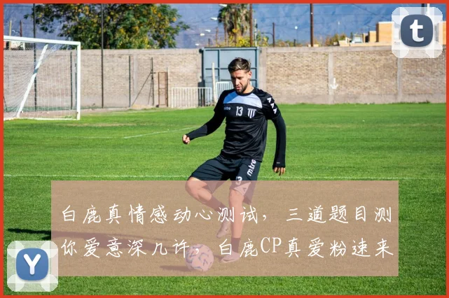 白鹿真情感动心测试，三道题目测你爱意深几许，白鹿CP真爱粉速来挑战